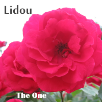 CD-Cover "The One" von Lidou